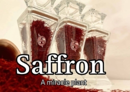 Saffron a miracle planet